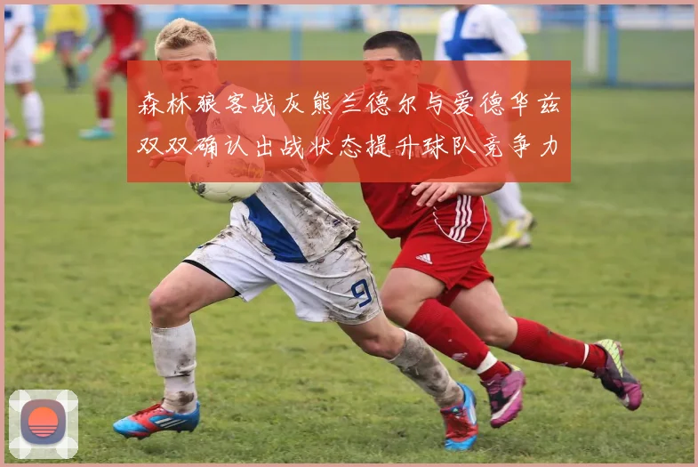 森林狼客战灰熊兰德尔与爱德华兹双双确认出战状态提升球队竞争力