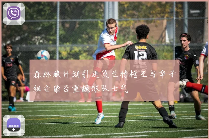 森林狼计划引进莫兰特枪王与华子组合能否重振球队士气