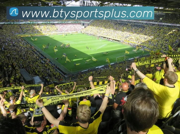 B体育APP 封面图